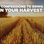 7-confessions-bring-your-harvest
