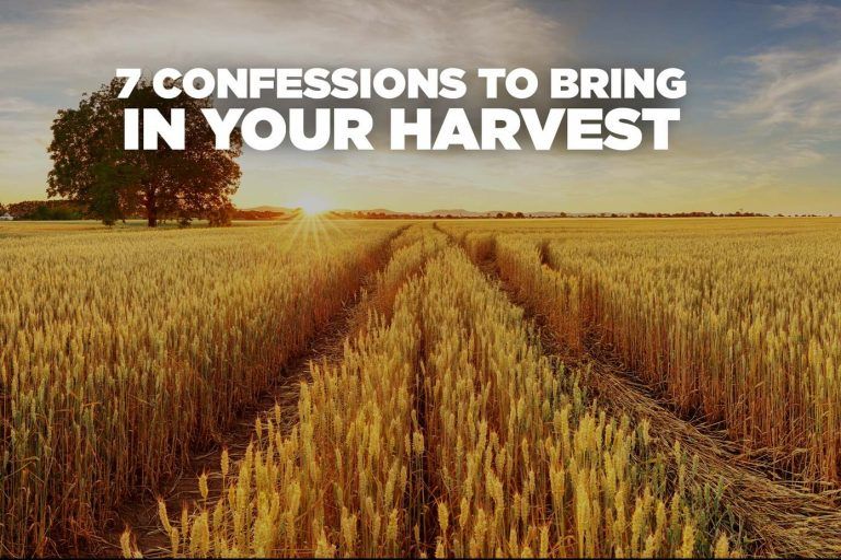 7-confessions-bring-your-harvest
